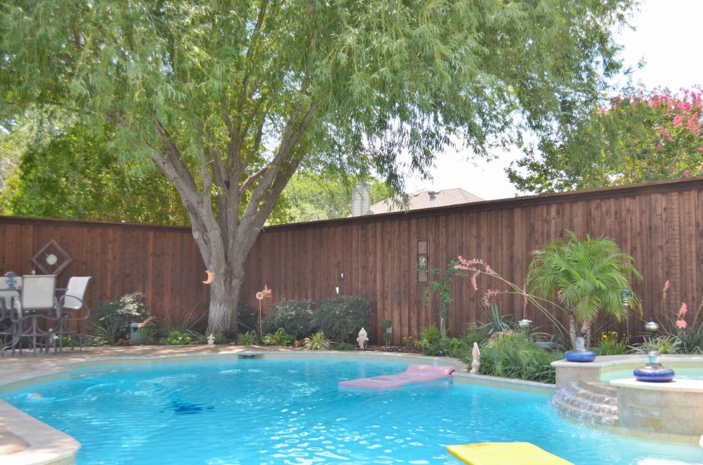 Backyard pool with an attached spa under a large shade tree, with planting beds along a wood privacy fence