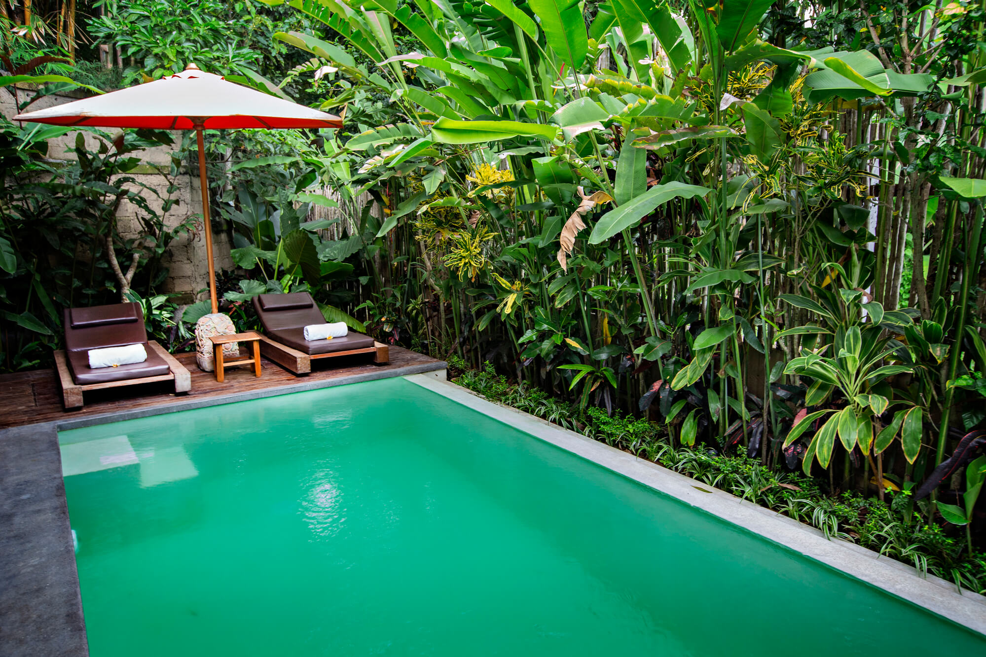 Lush garden pool with tropical planting