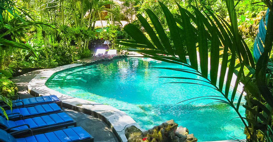 tropical landscaping