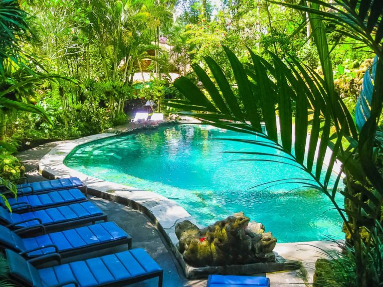 Creative Landscaping Ideas for Your Swimming Pool Area