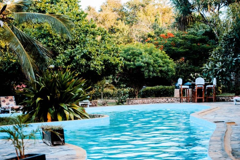 Pool Landscaping in Kenner: Planning Around Mature Trees