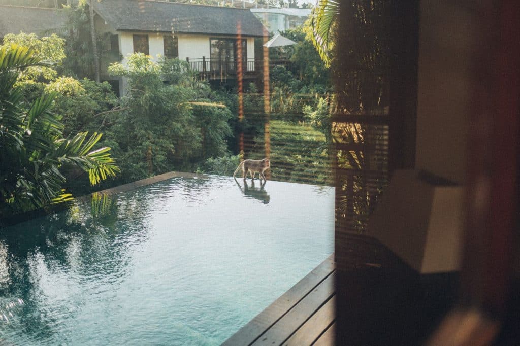 What Is an Infinity Pool, and Can It Work on a Covington Lot?