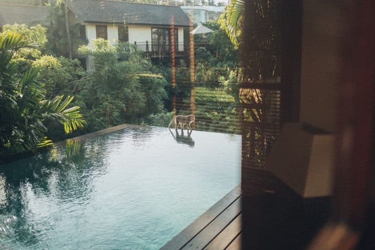 What Is an Infinity Pool, and Can It Work on a Covington Lot?